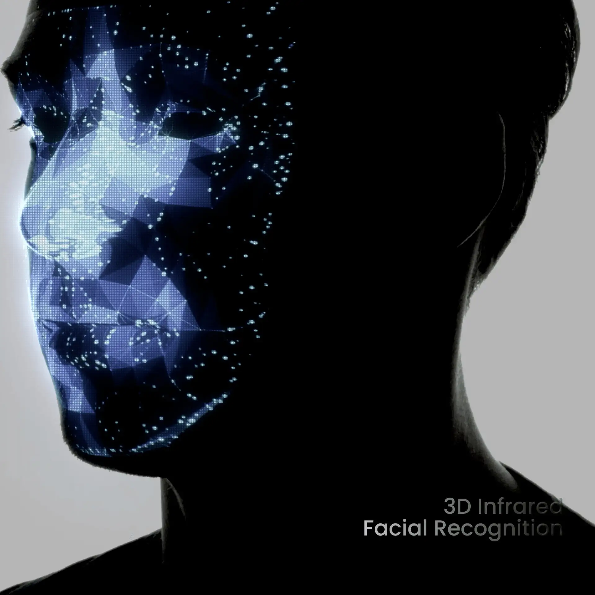 Lockly Visage