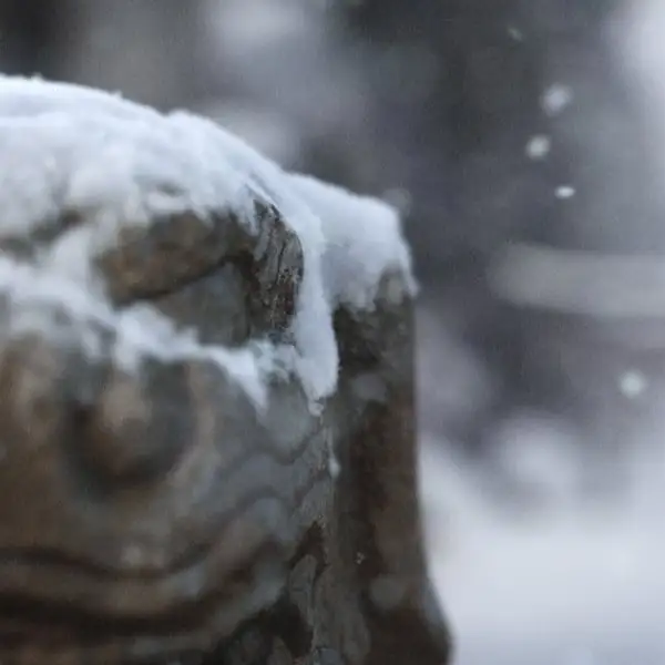 Komainu in Snow