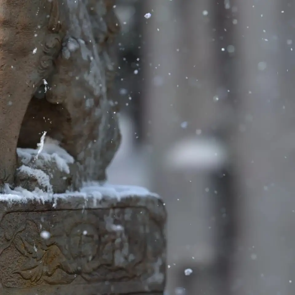 Komainu in Snow